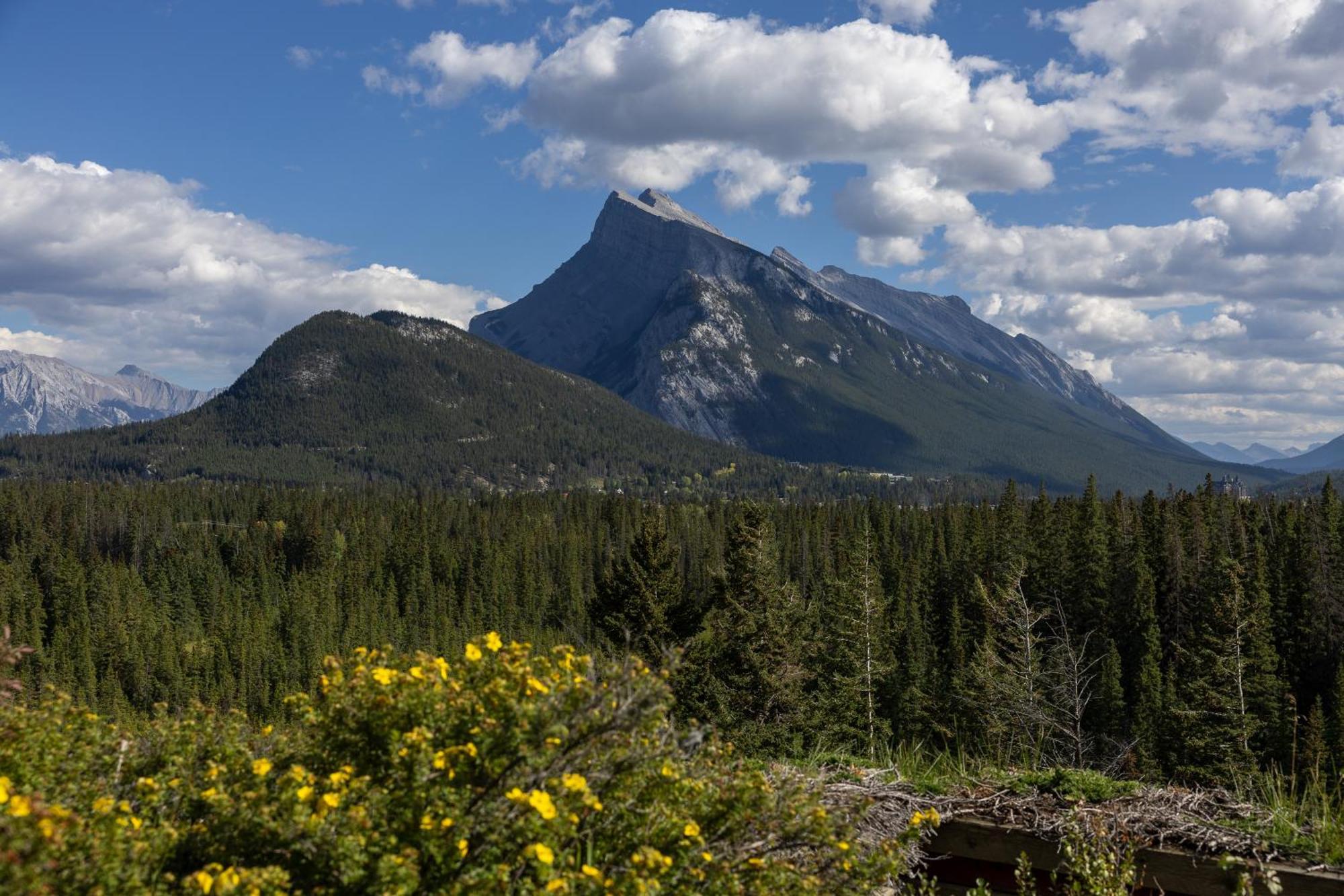The Juniper & Bistro 3* Banff